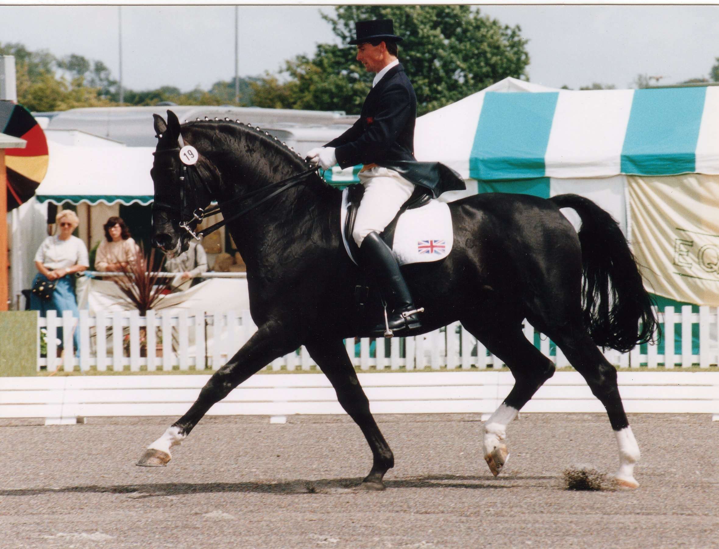 Demonstrator Stallion